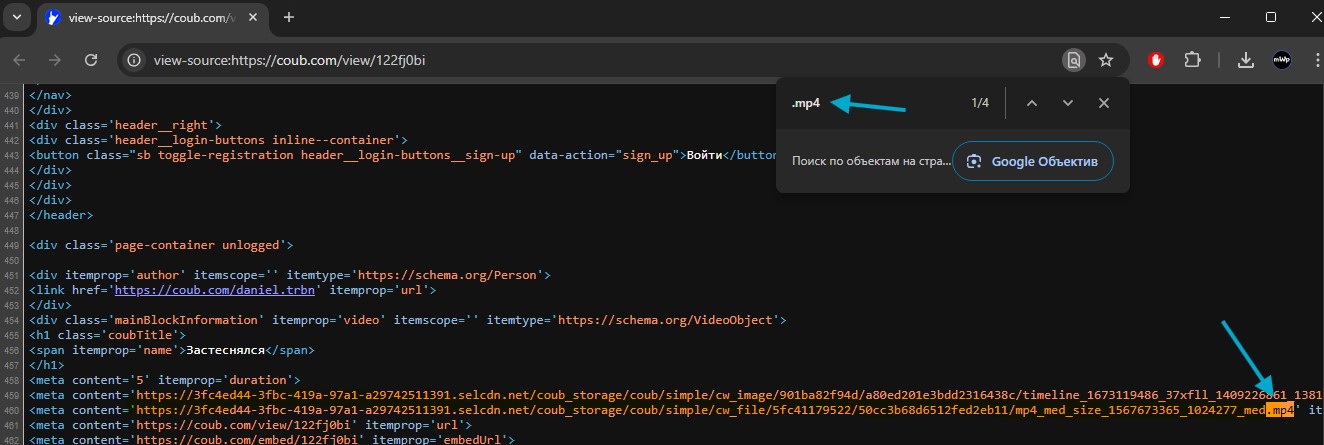 найти ссылку на загрузку видео из coub