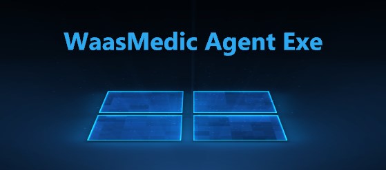 Waas medic agent exe загружает диск