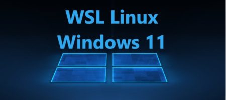 WSL linux windows11