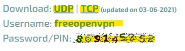 скачать UPD или TCP VPN