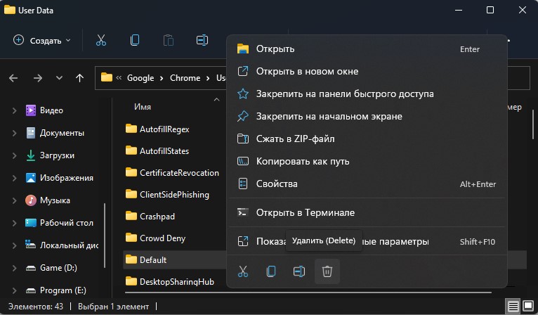 default папка пользователя Chrome