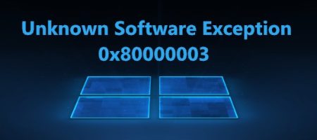 Unknown Software Exception 0x80000003