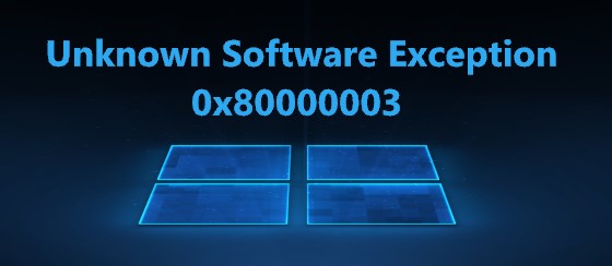 Software exception 0x80000003