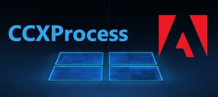 CCXProcess