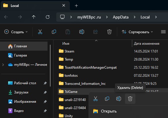 удалить папку TslGame