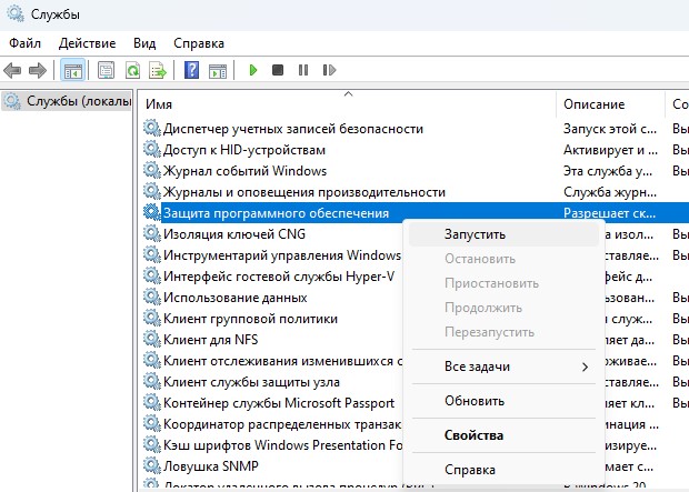 защита программного обеспечения служба
