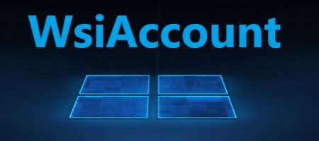 WsiAccount в Windows