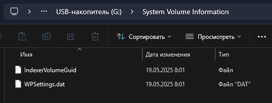 файл IndexerVolumeGuid и WPSettings.dat