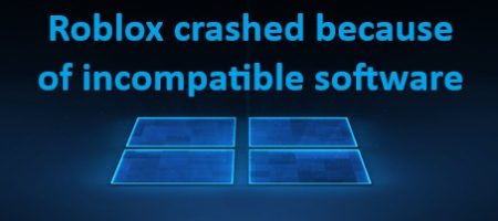 Roblox crashed because of incompatible software