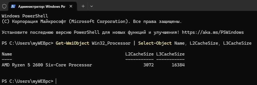 узнать L2CacheSize L3CacheSize