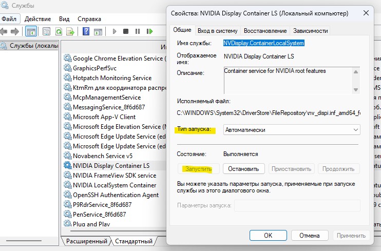 NVIDIA Display Container LS