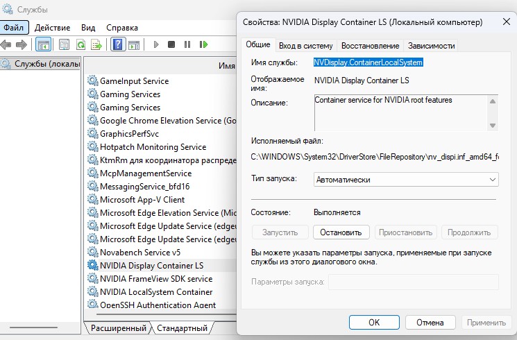 служба NVDisplay.ContainerLocalSystem