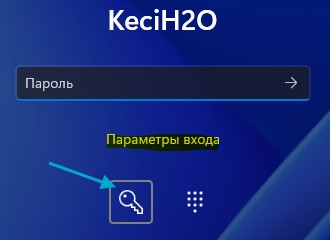 параметры входа и ввод пароля